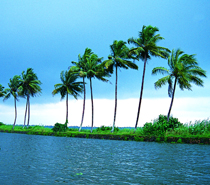 Golden Triangle With Kerala Tour from Delhi