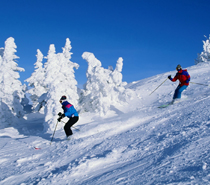 Shimla Tour